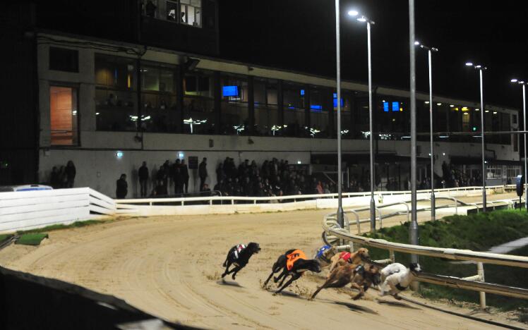 Sunderland Greyhound Stadium. 